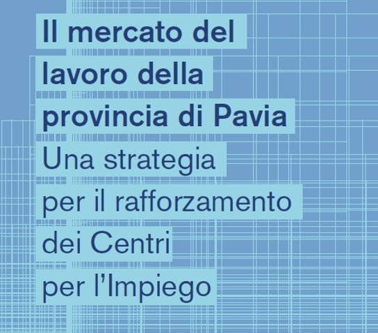 Rapporto sul mercato del lavoro e il ruolo dei Centri per l'Impiego in provincia di Pavia