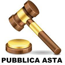 134_asta_pubblica_2